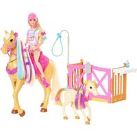 Barbie - Coffret toilettage chevaux avec Poupée Barbie, 2 Chevaux et + de 20 Accessoires - Accessoire Poupée Mannequin - Dès 3 ans