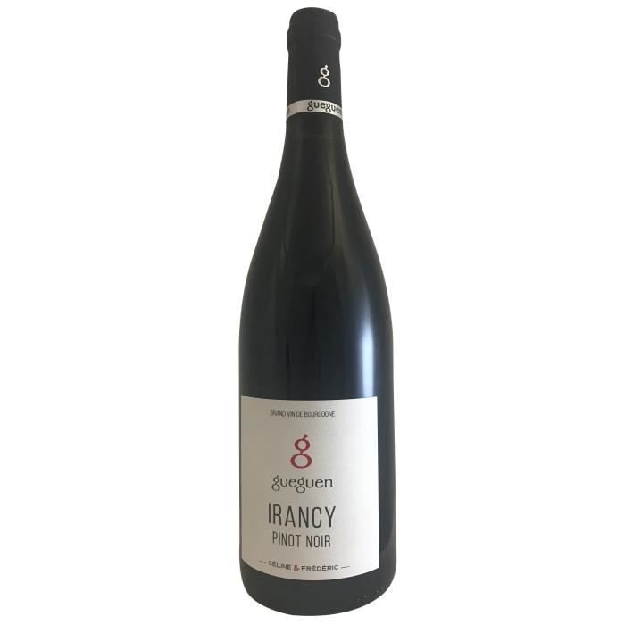 Domaine Gueguen 2018 Irancy - Vin rouge de Bourgogne