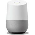 Assistant vocal google