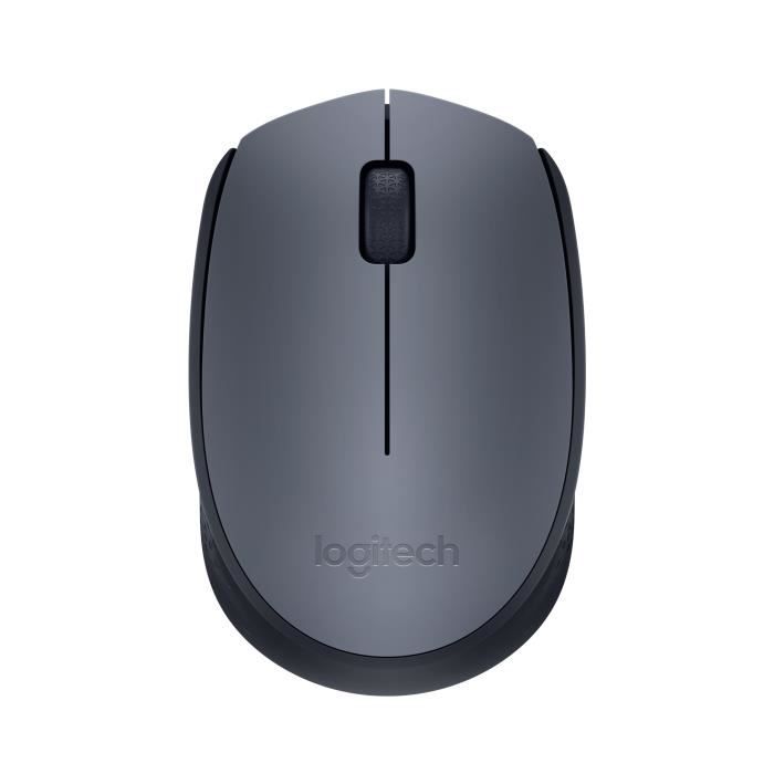 Souris – Sans fil – Logitech – M170 – Ambidextre – Gris