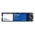 WESTERN DIGITAL Disque dur SA510 - SATA SSD - 500GB interne - Format M2 - Bleu-0