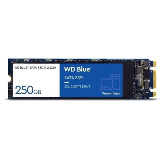 WESTERN DIGITAL Disque dur SA510 - SATA SSD - 500GB interne - Format M2 - Bleu
