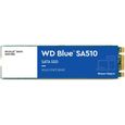 WESTERN DIGITAL Disque dur SA510 - SATA SSD - 500GB interne - Format M2 - Bleu-1