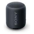 SONY SRSXB10 Enceinte portable - Bluetooth -  Extra Bass - Waterproof - 16h - Noir-0
