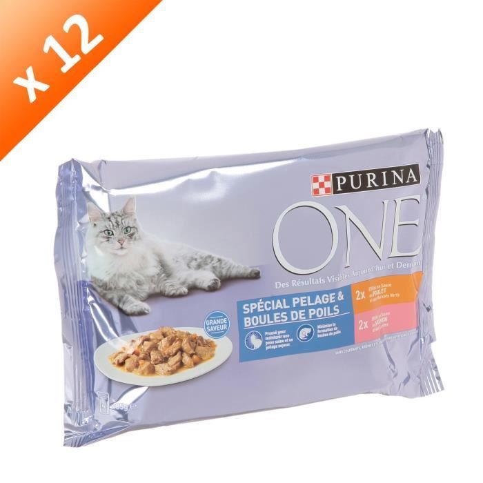 One Croquettes Special Boules De Poils Pour Chat 4x85g X12 Achat Vente Croquettes Pcb12 One Boules Poils 4x85g Cdiscount