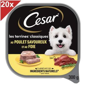 BOITES - PATÉES CESAR Barquettes au poulet et au foie en terrine p