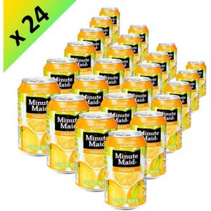 SODA-THE GLACE MINUT MAID Orange Boite 33cl (x24)
