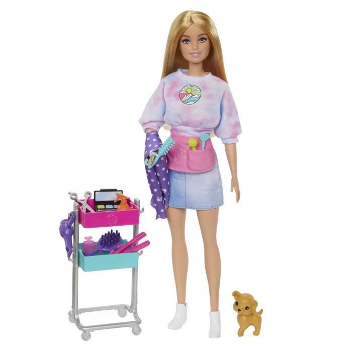 Barbie Coffret Barbie Malibu Styliste Poupee Mannequin 3 ans et BARBIE HNK95 POUPEE MANNEQUIN BARBIE