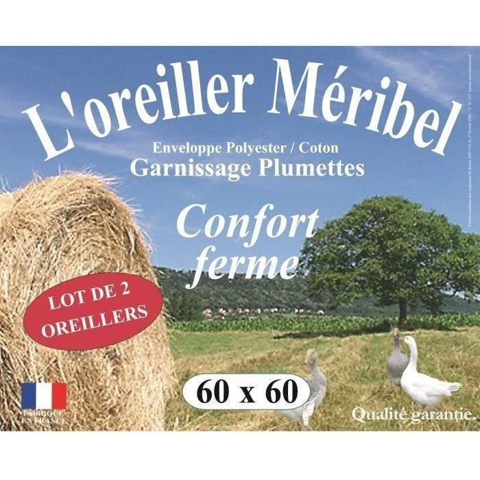 Lot de 2 Oreillers DODO - Méribel Plumettes - 60 x 60 cm - Blanc