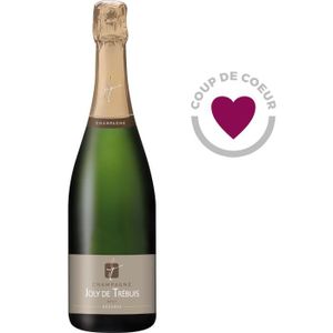 CHAMPAGNE Champagne Joly de Trébuis 75 cl