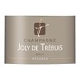 Champagne Joly de Trébuis 75 cl-1