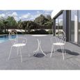 Set Table de jardin romantique en fer forgé 60 cm + 2 fauteuils - Blanc-1