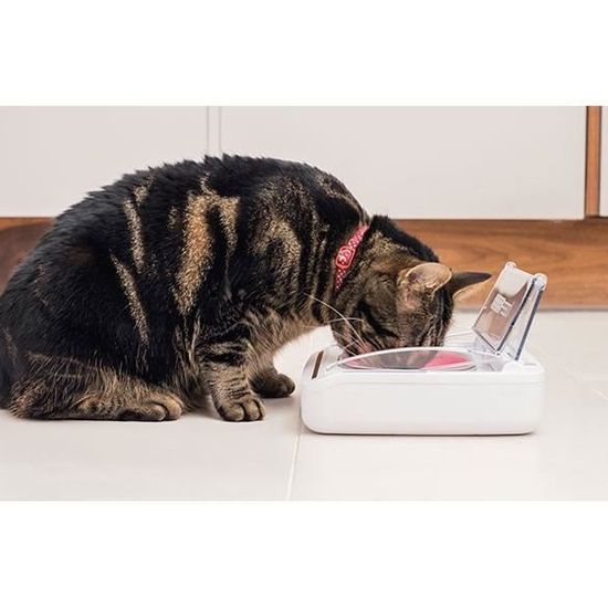 SUREFEED Distributeur de nourriture automatique pour chat antiodeur Blanc (Livré