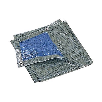 TXXATX Film Polyéthylène Pour Serre - 2 Rouleaux 2x10m Transparents - Protection Jardin Et Culture
