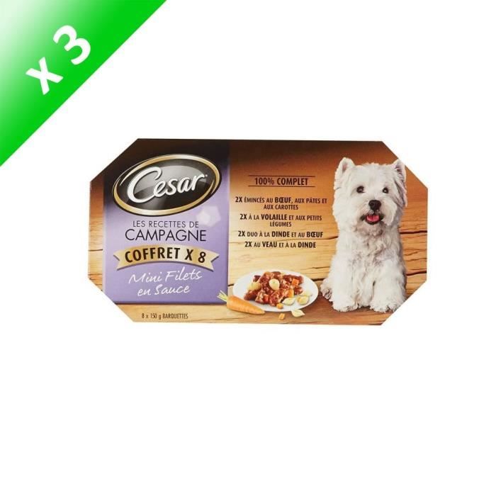 CESAR Barquettes Mini filets en sauce - 4 variétés - Pour chien adulte - 8 x 150 g (x3)