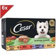 CESAR 24 Barquettes en terrine 4 variétés pour chien 150g (6x4)-0