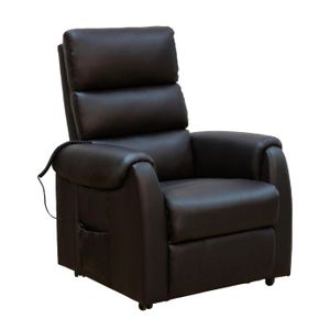 Fauteuil Releveur Electrique Tissu