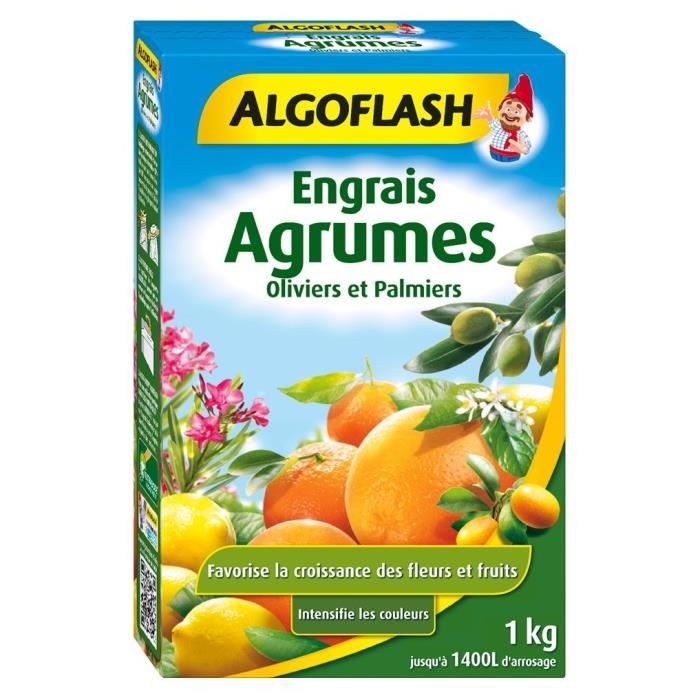 Algoflash Engrais Agrumes Olivers Et Palmiers 1kg Achat Vente Engrais Algoflash Engrais Agrumes Olivers Et Palmiers 1kg Cdiscount
