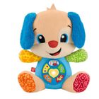 FISHER PRICE Fisher-Price-Rires Et Éveil-Puppy Éveil Progressif-Peluche Musicale JFD20