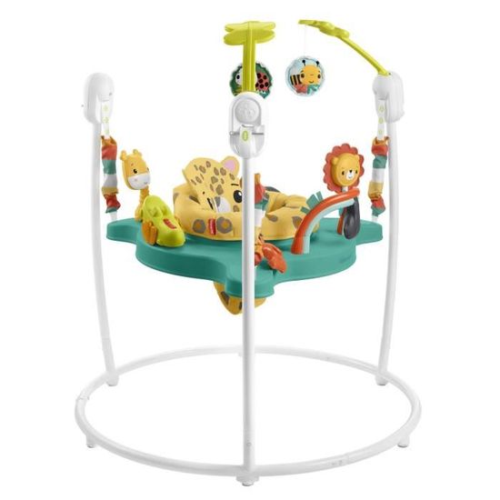 Fisher price sales kangaroo jumperoo