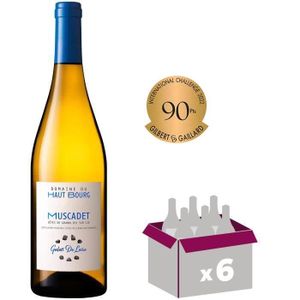VIN BLANC Domaine du Haut Bourg 2020 Muscadet Côtes de Grandlieu Sur Lie - Vin blanc de Loire x6