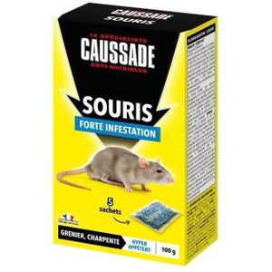 Generic Duo Pièges à Souris 2 pieges pliables anti-souris a Colle forte  attrape souris à prix pas cher