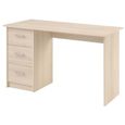 Bureau 120x50