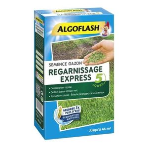 GRAINE - SEMENCE ALGOFLASH - Gazon regarnissant express 5 jours 1kg