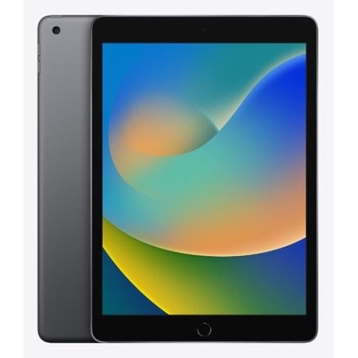 Apple - iPad (2021) - 10,2 - WiFi - 64 Go - Gris Sidéral - Reconditionné -  Excellent état - Cdiscount Informatique