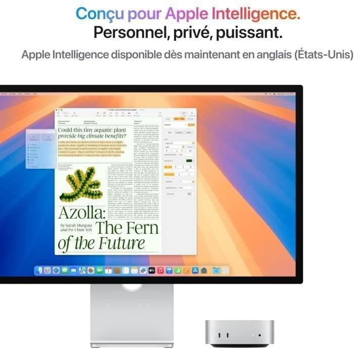 Apple - Mac mini (2024) Puce Apple M4 - 16Go - 256Go SSD - CPU 10