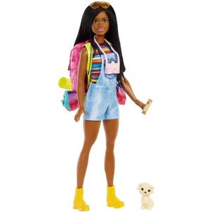 POUPÉE Barbie - Barbie Brooklyn Camping avec mini-figurine chiot, sac à dos, sac de couchage et accessoires - Poupée HDF74