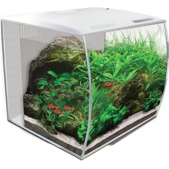Aquarium 30 litres Achat / Vente pas cher
