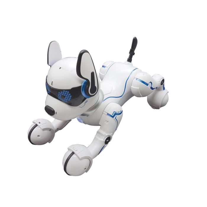 https://www.cdiscount.com/pdt2/g/0/1/2/700x700/lexdog01/rw/power-puppy-mon-chien-robot-savant-programmable.jpg