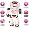 Filet de robot