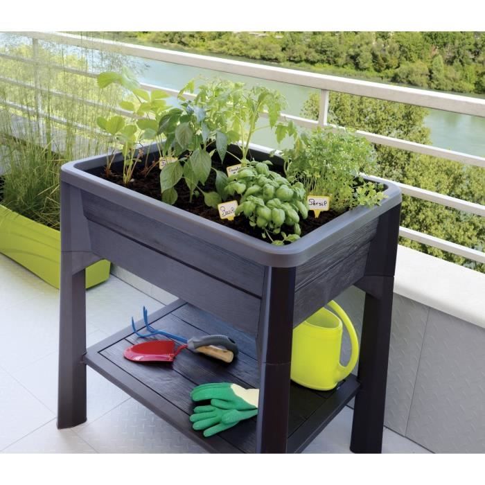 Eda Espace Potager Avec Bac De Recuperation Veg Table 79 X 59 X