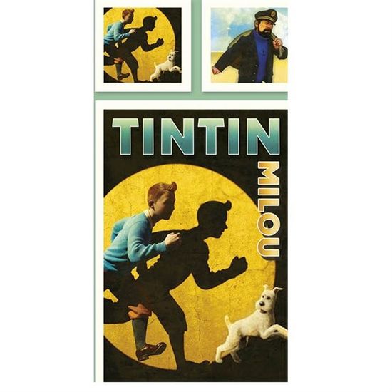 RFFLUX Parure de Lit Football 140x200 cm 1 Personne 3 Pièces Ultra Doux