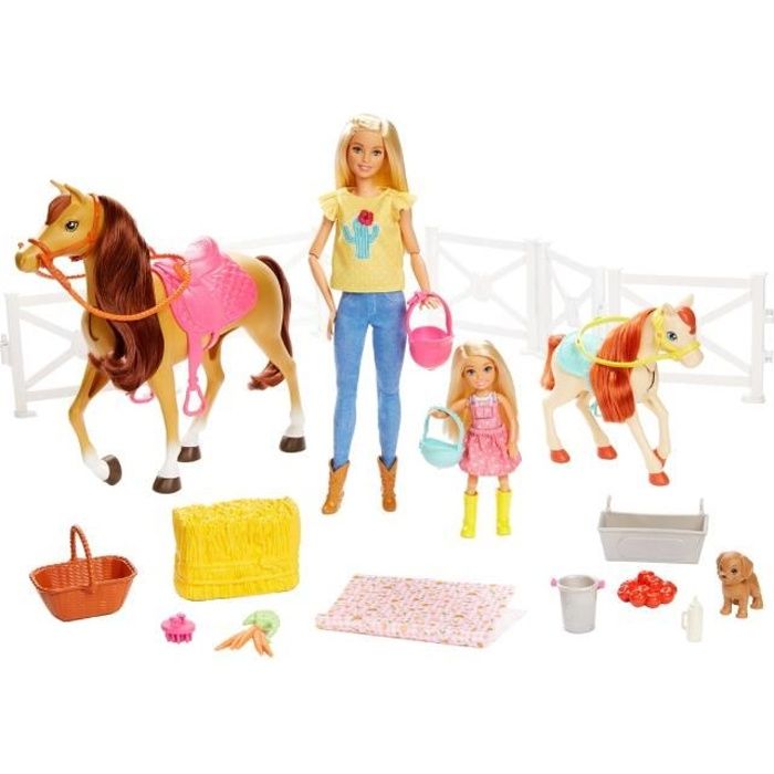 Coffret Barbie et Chelsea Amies des Chevaux BARBIE Jouet pour