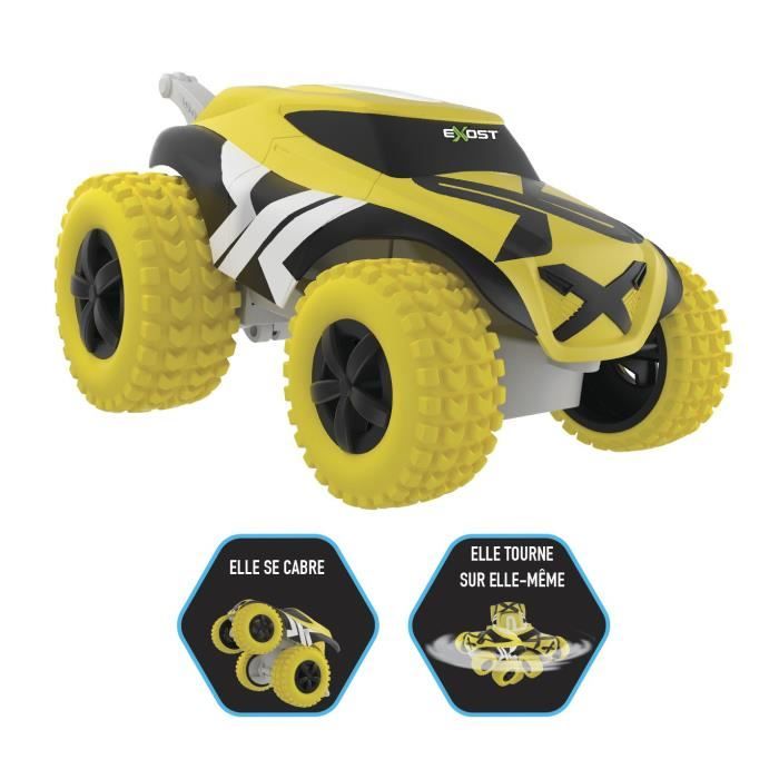 voiture miniature telecommandee