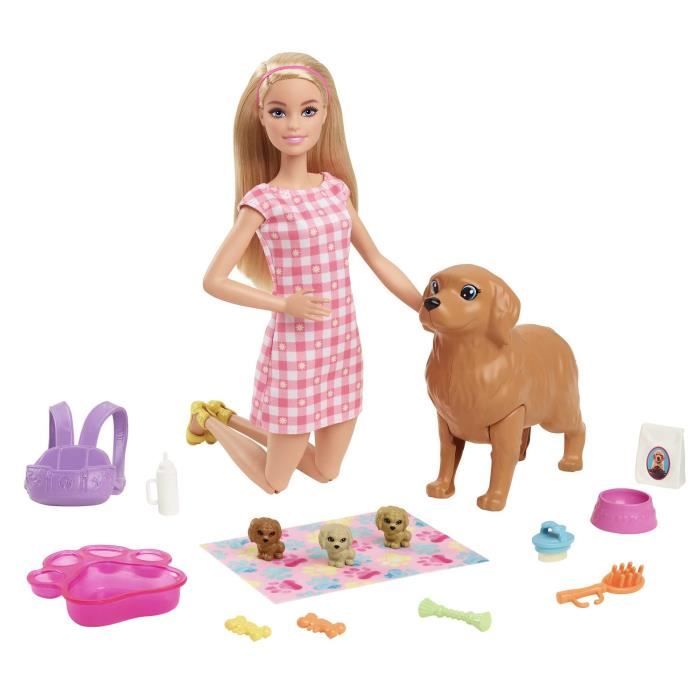 Poupée Barbie Princesse de Rêves Blonde - BARBIE - Robe Colorée et  Accessoires - 3 ans et + - Cdiscount Jeux - Jouets