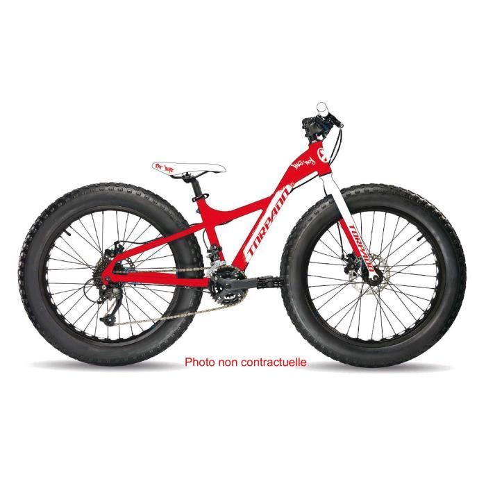 fat bike big boy