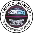 NBA 2K20 Édition Standard Jeu Switch + Ballon SPALDING Exclusif offert-3