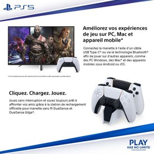 Manette PS5 Sans Fil DualSense Sterling Silver - Sony Marque Sony