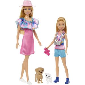 POUPÉE Barbie - Coffret Poupées Stacie et Barbie avec 2 chiots et accessoires