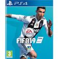Pack FIFA 19 Jeu PS4 + Manette DualShock 4 Noire-1