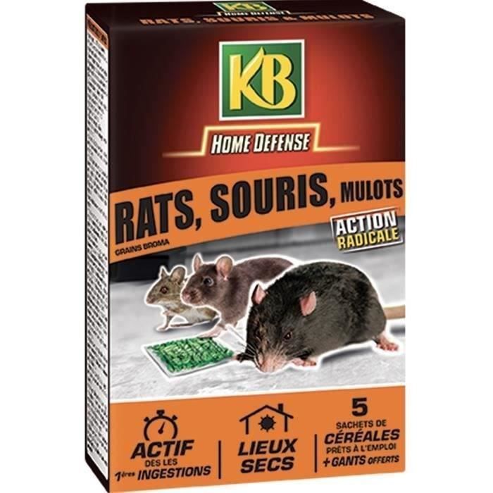 Céréales anti-rats, souris et mulots - KB HOME DEFENSE - 5x25g - Lieux secs - Gants offerts
