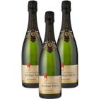 Arthur Metz Millésimé Brut - Crémant d'Alsace x3 -2023