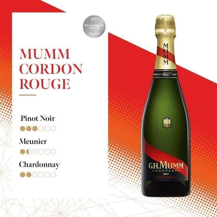 Seau à champagne vintage Mumm Cordon Rouge en plastique Made in
