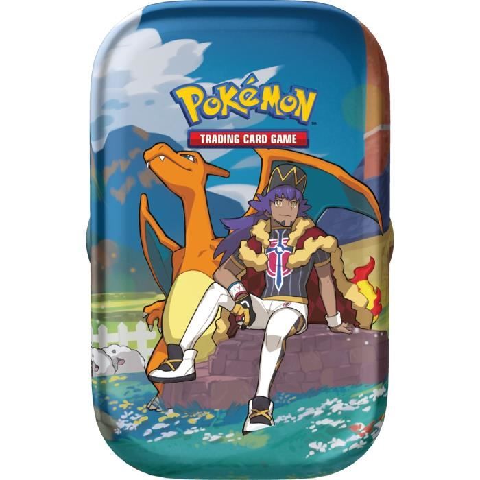 Cahier range-cartes 252 cartes Pokémon Épée et Bouclier - POKEMON - Pour  collectionneurs et Dresseurs - Cdiscount Jeux - Jouets