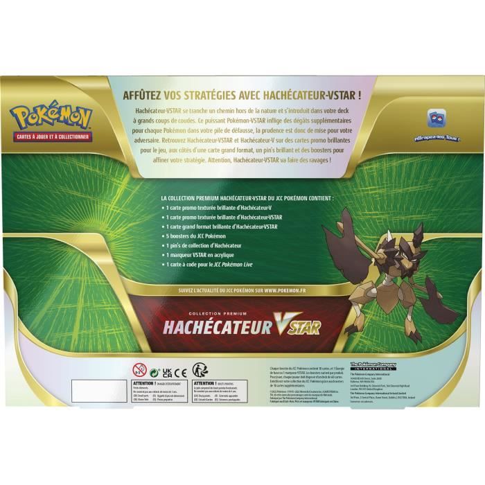 Pokémon Coffret V Octobre 2022 – Cartes à Collectionner – Légendaire Inclus – Dès 6 Ans – POEBAOU22
