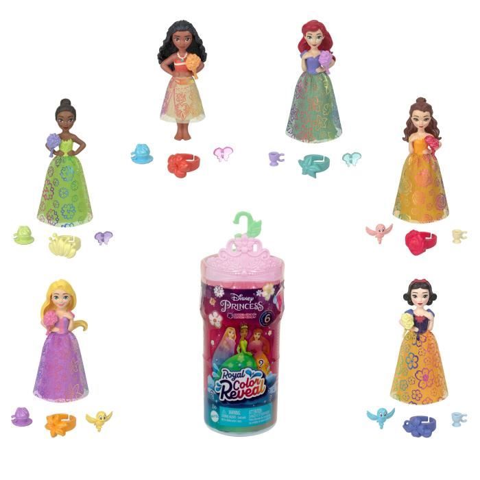 Coffret surprise 1 mini poupée color reveal + 5 accessoires - MATTEL - HRN63 - modèle aléatoire